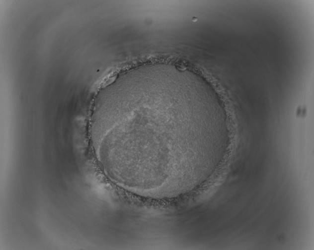 X0000111250144200907091432