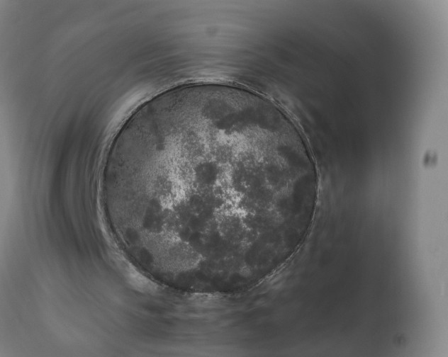 X0000111250145200907091431