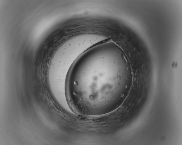 X0000111250146200907091431