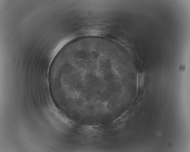 X0000111250147200907091431