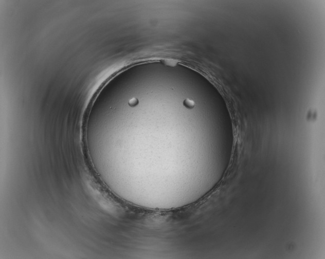 X0000111250148200907091431