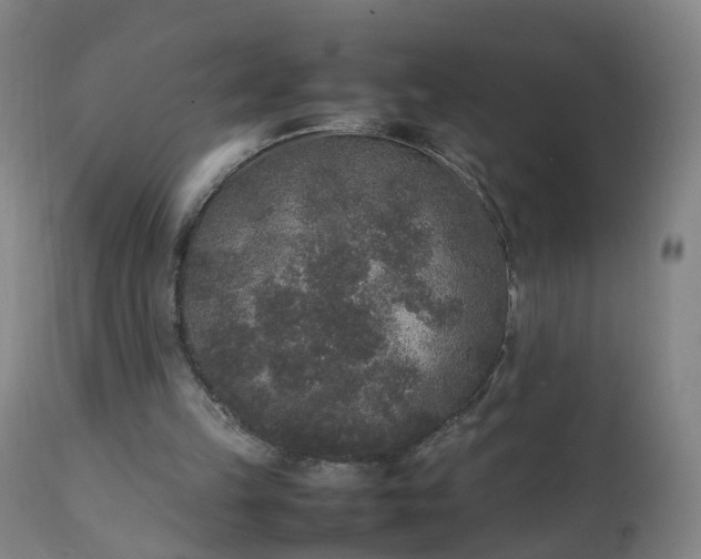 X0000111250149200907091431