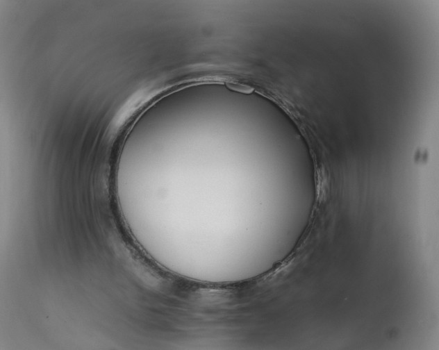 X0000111250150200907091431