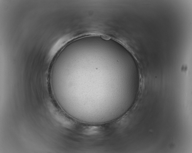 X0000111250151200907091431