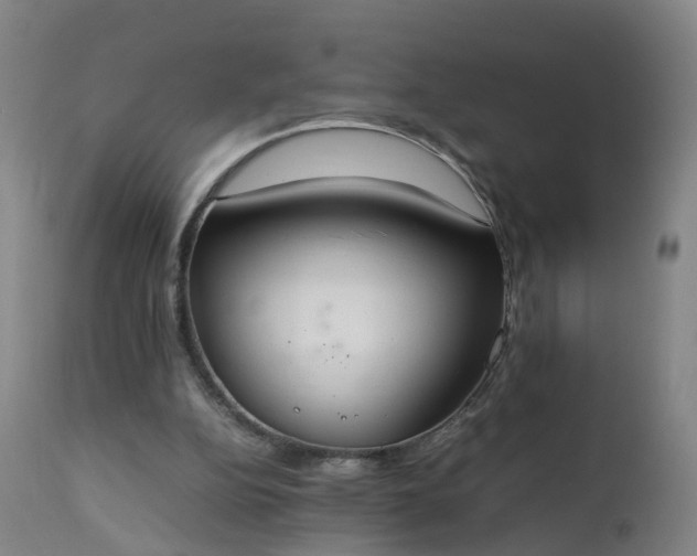 X0000111250152200907091431