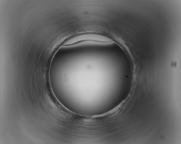 X0000111250154200907091431