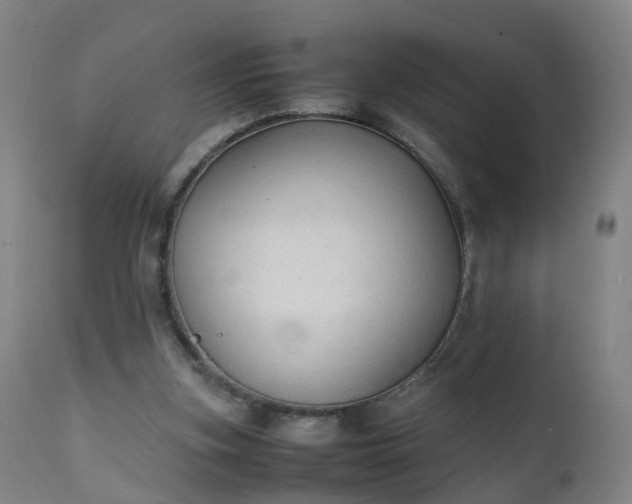 X0000111250155200907091431