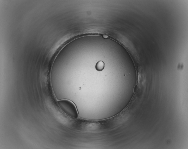 X0000111250156200907091431