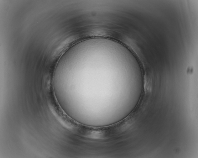 X0000111250157200907091432