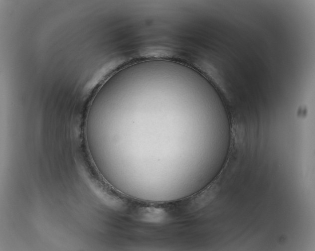 X0000111250159200907091432