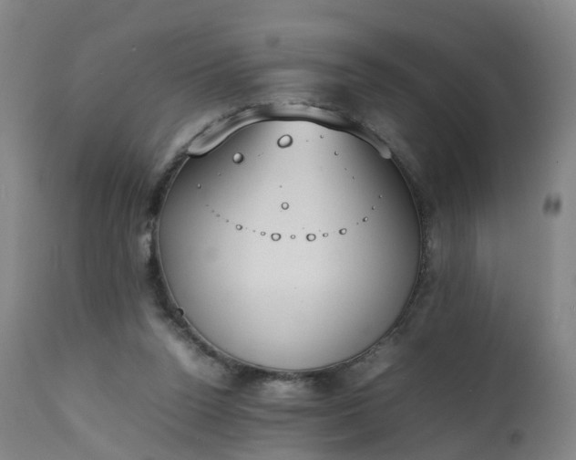 X0000111250160200907091432