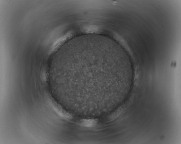 X0000111250161200907091432