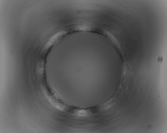 X0000111250163200907091432