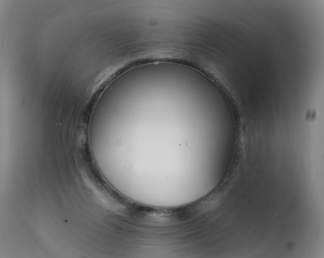 X0000111250164200907091432