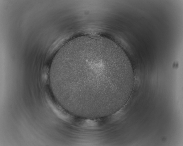 X0000111250166200907091432