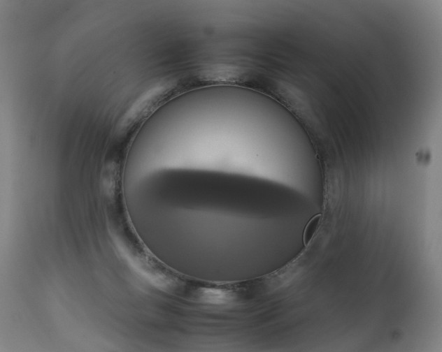 X0000111250167200907091432