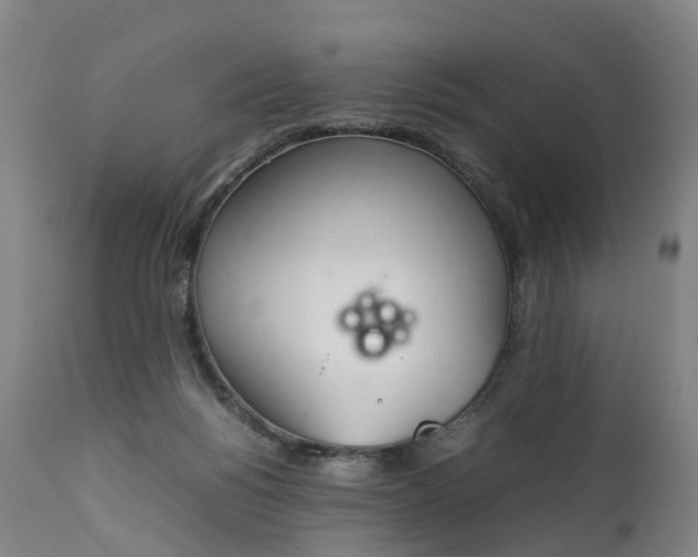 X0000111250168200907091432