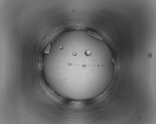 X0000111250170200907091432