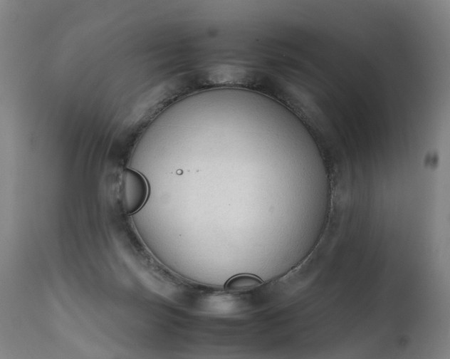 X0000111250171200907091432