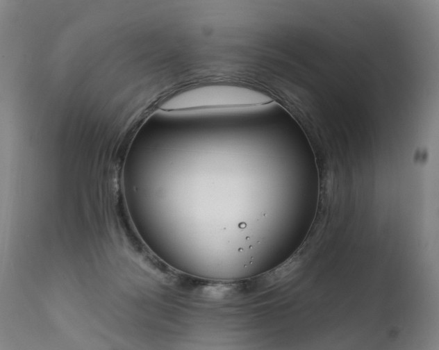 X0000111250172200907091432