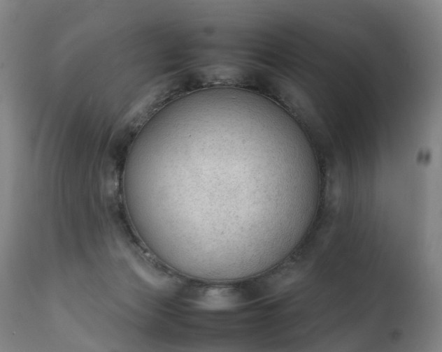 X0000111250173200907091432