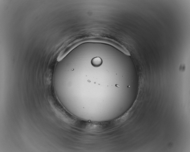 X0000111250174200907091432