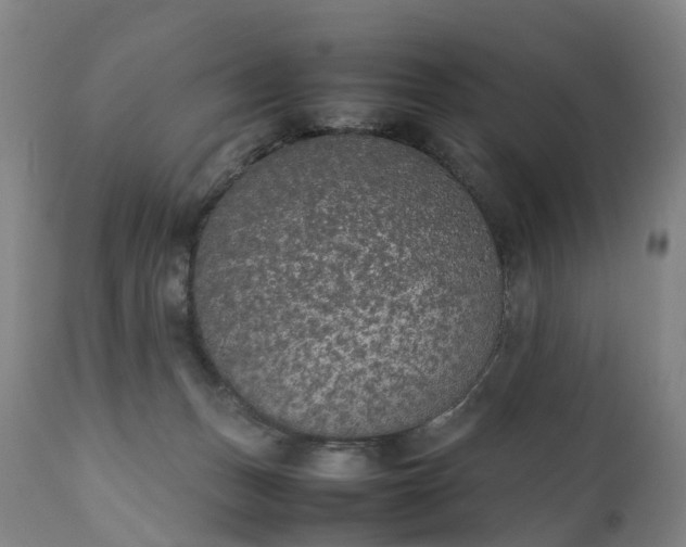 X0000111250175200907091432