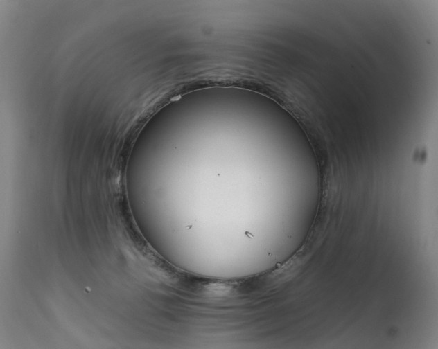 X0000111250176200907091432