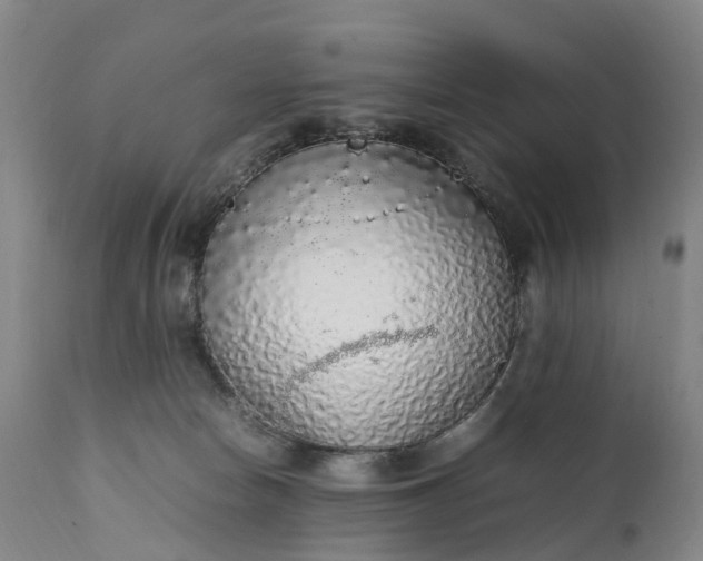 X0000111250178200907091432