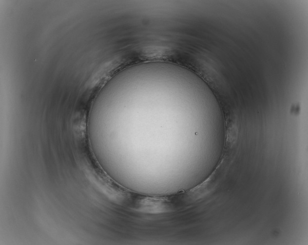 X0000111250179200907091432