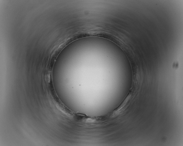 X0000111250180200907091432