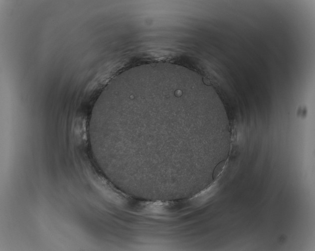 X0000111250182200907091432