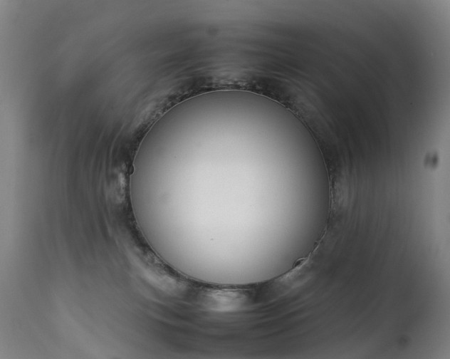 X0000111250183200907091432