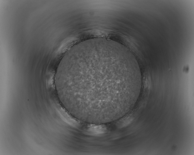 X0000111250185200907091432