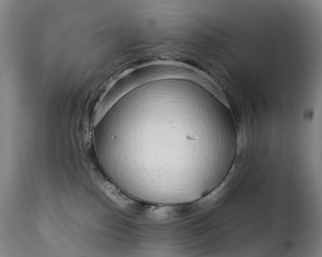 X0000111250186200907091432