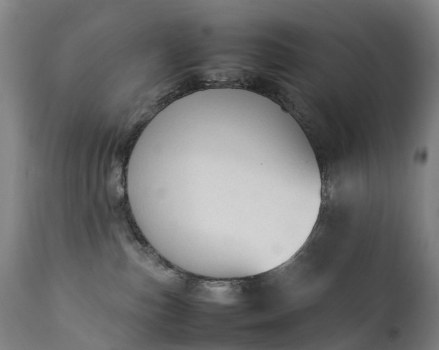 X0000111250187200907091432