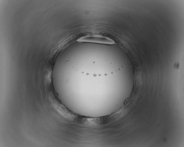 X0000111250188200907091432