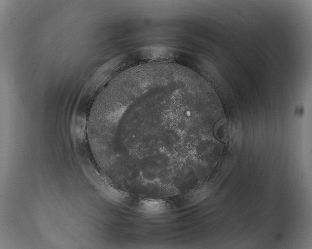 X0000111250189200907091432