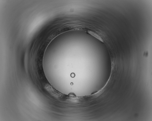 X0000111250190200907091432