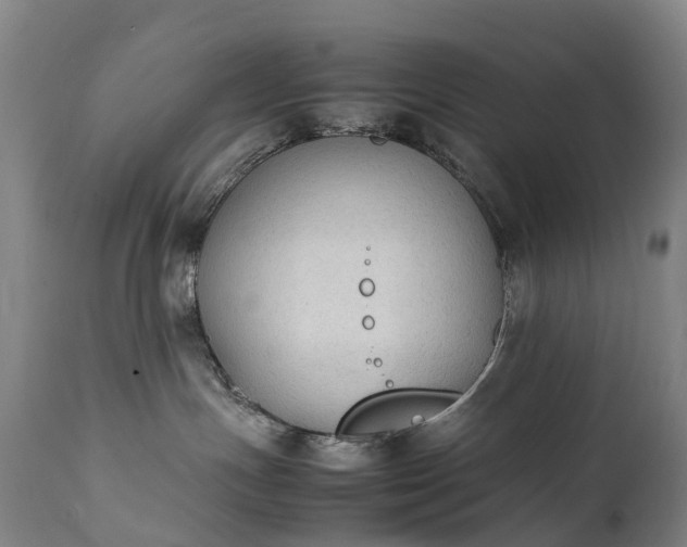 X0000111250191200907091432