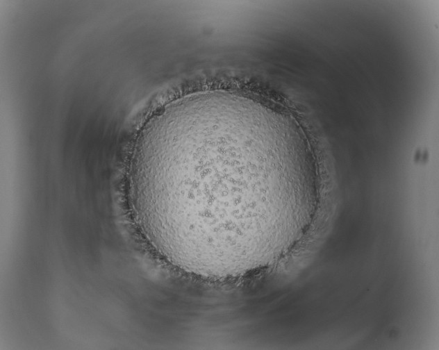 X0000111250192200907091432