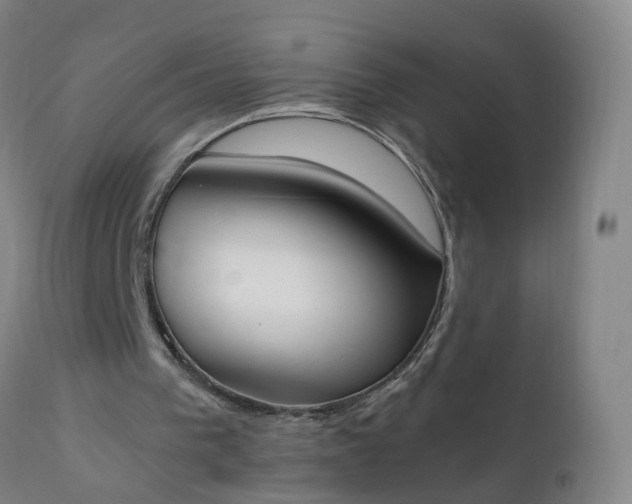 X0000111250193200907091431