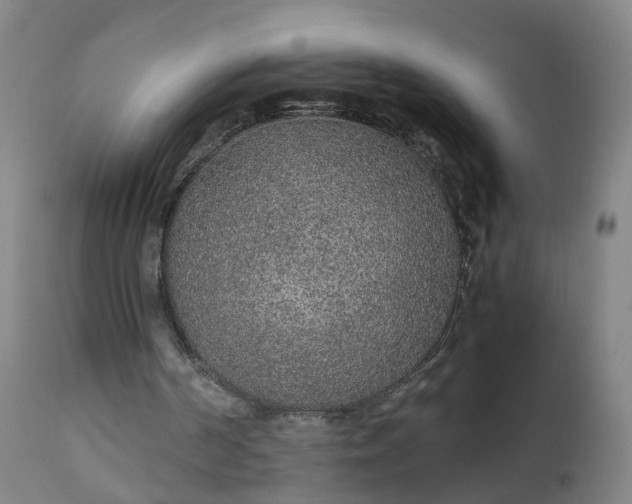 X0000111250194200907091431