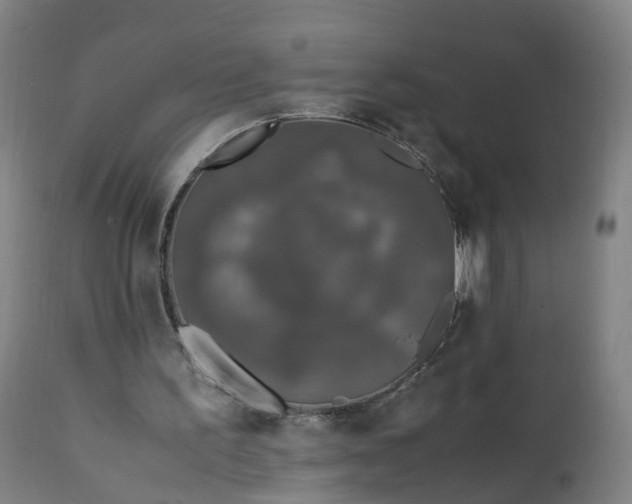 X0000111250195200907091431