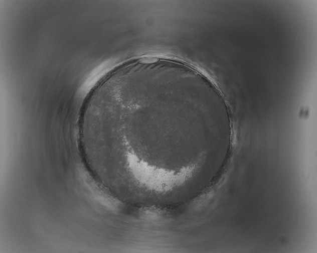 X0000111250199200907091431