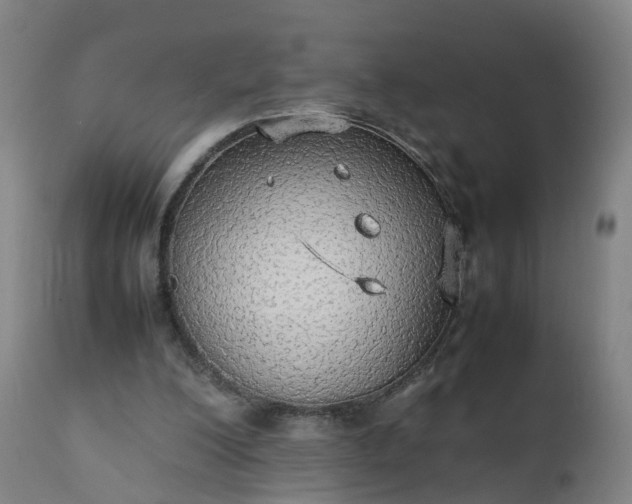 X0000111250200200907091431