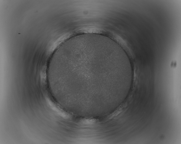 X0000111250202200907091431