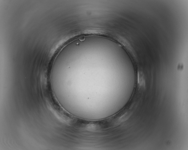 X0000111250204200907091431