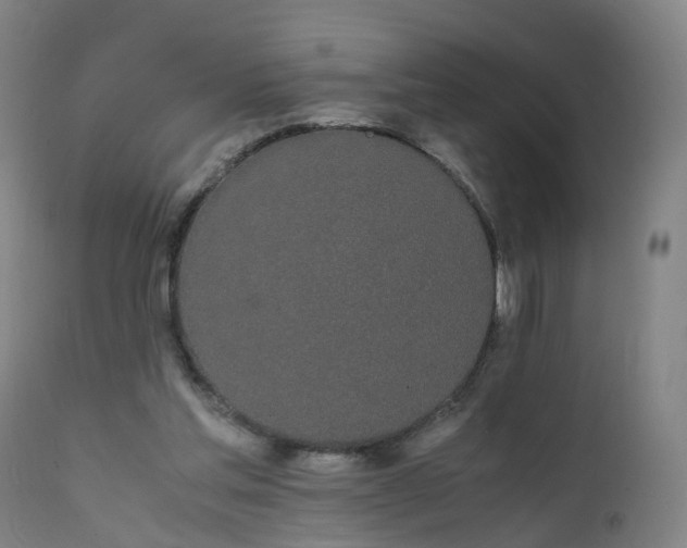 X0000111250205200907091431