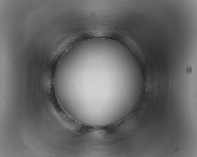 X0000111250210200907091431